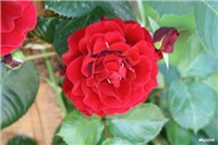 7219e39c-IMG_5271 Don Juan.jpg